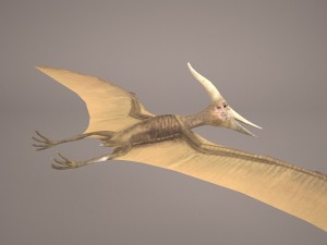 pteranodon Model 3D