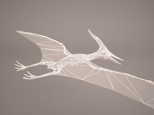 pteranodon Model 3D