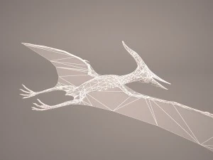 pteranodon 3D Model