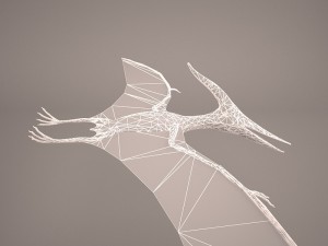 pteranodon Model 3D