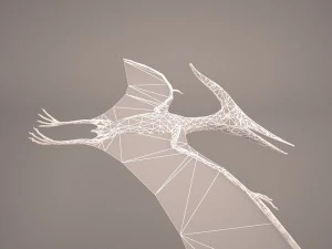 pteranodon 3D Model