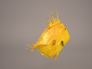 sanpedro 3D-Modell