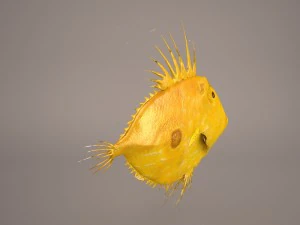 sanpedro 3D Model