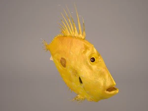 sanpedro 3D Model