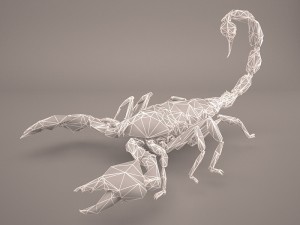 scorpion 3D Модель
