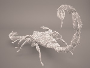 scorpion 3D Модель