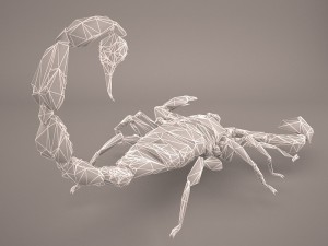 scorpion 3D Модель