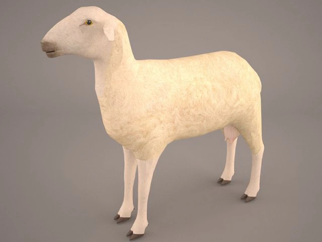 sheep 3D Model .c4d .max .obj .3ds .fbx .stl .blend 