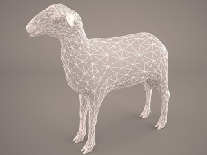 sheep 3D Model