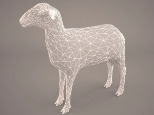 sheep 3D Model