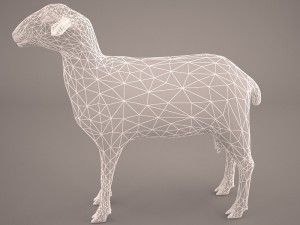 sheep 3D Model