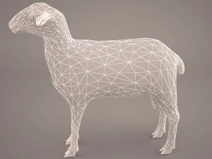 sheep 3D Model