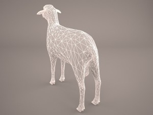 sheep 3D Model