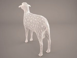 sheep 3D Model