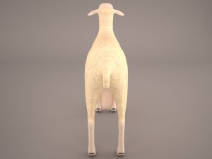 sheep 3D Model