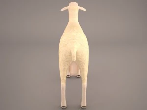 sheep 3D Model