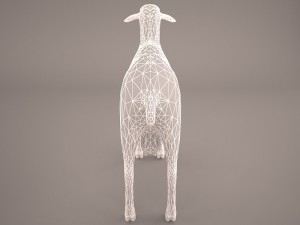 sheep 3D Model