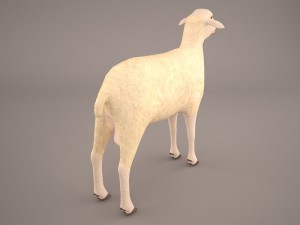 sheep 3D Model
