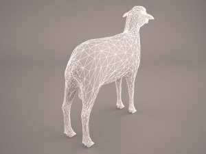 sheep 3D Model