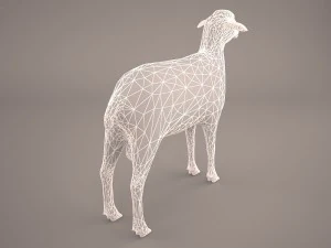 sheep 3D Model