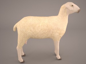 sheep 3D Model