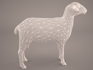 sheep 3D Model