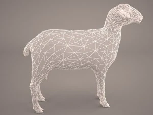 sheep 3D Model