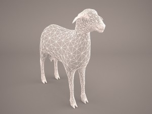 sheep 3D Model
