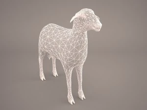 sheep 3D Model