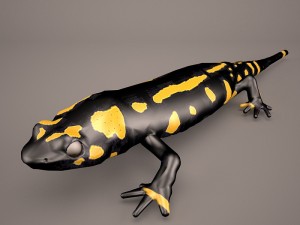 komodo dragon 3D-Modell