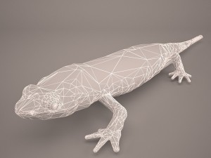 komodo dragon Modelo 3D