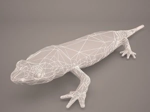 komodo dragon 3D Model