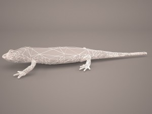 komodo dragon Modelo 3D