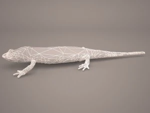 komodo dragon 3D Model