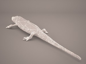 komodo dragon Modelo 3D