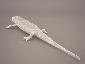 komodo dragon 3D Model