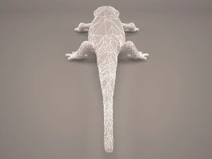 komodo dragon 3D Model