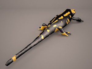 komodo dragon Modelo 3D