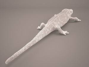 komodo dragon Modelo 3D