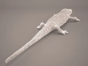 komodo dragon 3D Model