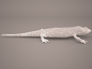 komodo dragon Modelo 3D