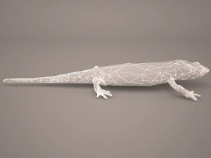 komodo dragon 3D Model