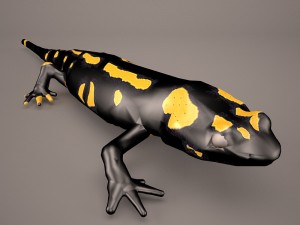 komodo dragon Modelo 3D