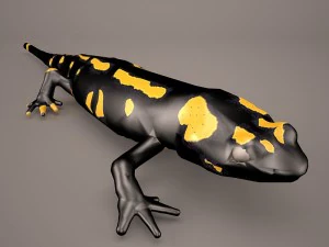 komodo dragon 3D Model