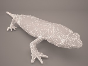 komodo dragon Modelo 3D