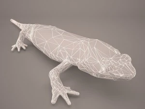 komodo dragon 3D Model