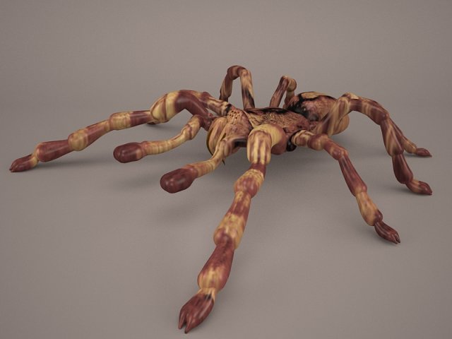 tarantula Model 3D .c4d .max .obj .3ds .fbx .stl .blend 