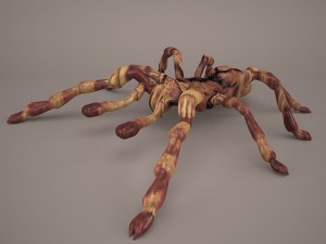 tarantula Modelo 3D