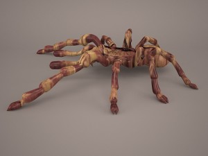 tarantula Model 3D