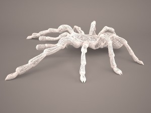tarantula Model 3D